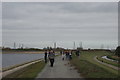 View of the Edmonton Waste Incinerator from the Walthamstow Wetlands