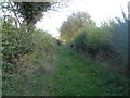 Track towards the road east of Hound Hill