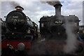 Locomotives in steam at Tyseley