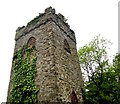 Rose Castle Tower