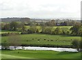 River Avon and the Evesham Golf Course (2)