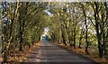 Hill Lane near Countesthorpe