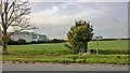 Signed footpath across bridge, to a field