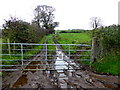 Muddy entrance to field, Kilcam