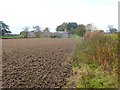 Newly cultivated field at Upsettlington