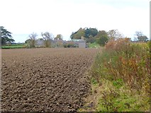 NT8846 : Newly cultivated field at Upsettlington by Oliver Dixon