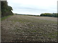 Farmland, Bartlets Lane