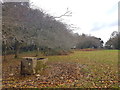 A drinking trough on the edge of Roborough Down