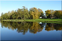 SP6736 : Trees reflected in the Octagon Lake by Philip Halling