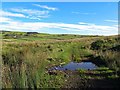 Bridleway at Kitty Beck