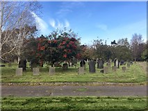 ST1878 : Cathays Cemetery by Alan Hughes