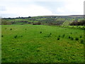 Glenmacoffer Townland