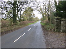 R7730 : Road (L1513) between Raheen (Knocklong) and Ballywire by Peter Wood