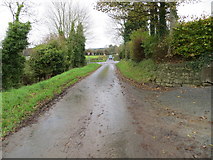 R6926 : Minor Road crossing the L1511 near Cush by Peter Wood