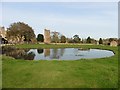 Abbey Pond, Montacute