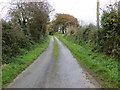 R6924 : Road to The Field of Dreams Sanctuary at Kilfinane by Peter Wood