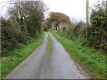 R6924 : Road to The Field of Dreams Sanctuary at Kilfinane by Peter Wood