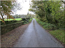 R6825 : Road near Boshnetstown by Peter Wood