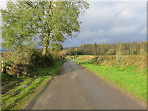 R6311 : Road (L5554) near Ballintlea South by Peter Wood