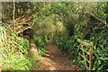 Footpath, Bothenhampton