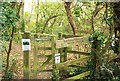 Gate into Bothenhampton Nature Reserve