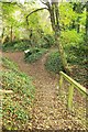 Path junction, Bothenhampton Nature Reserve