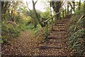 Path up steps, Bothenhampton Nature Reserve