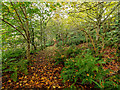 Path from Easterton