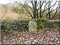 SD9419 : Boundary stone, Calderbrook Road, Todmorden / Littleborough by Humphrey Bolton