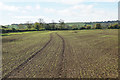 SP2422 : Planted field near Bledington by Bill Boaden