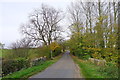 Swinstead Road leading to Irnham