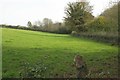 Field by Lower Walditch Lane