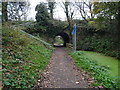 Along the cycle path