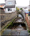 Infant River Ely, Penrhiwfer