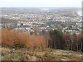 Newcastle from Donard Wood