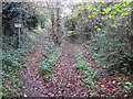 Division of path and Bridleway to Ashorne Hill