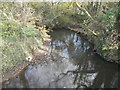 The Afon Clun at Rhiwsaeson, looking east