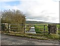 Canal Bridge