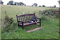 SJ1665 : Remote commemorative seat near Cilcain by Jeff Buck