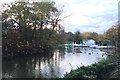 Boating Lake at Stanborough Park