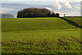 View across field to Bennett