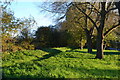 Path beside the River Frome