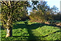 Evening shadows on path beside the River Frome