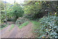 Public footpath up from Darran Road