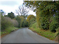 Road towards Weston