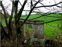 H5472 : Remains of a building, Bracky by Kenneth  Allen