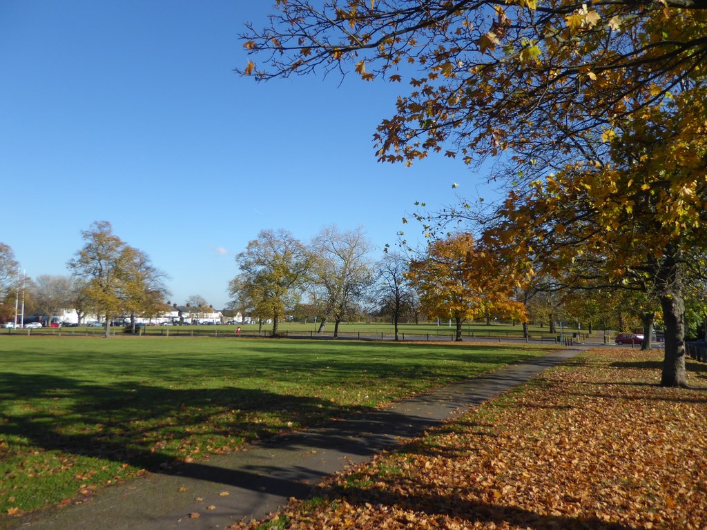 Autumn colours on Plumstead Common © Marathon :: Geograph Britain and ...