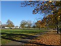 Autumn colours on Plumstead Common