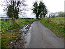 H5572 : Muddy along Roeglen Road by Kenneth  Allen