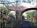 Bridge over the old railway line